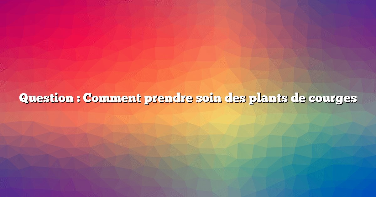 Question : Comment prendre soin des plants de courges